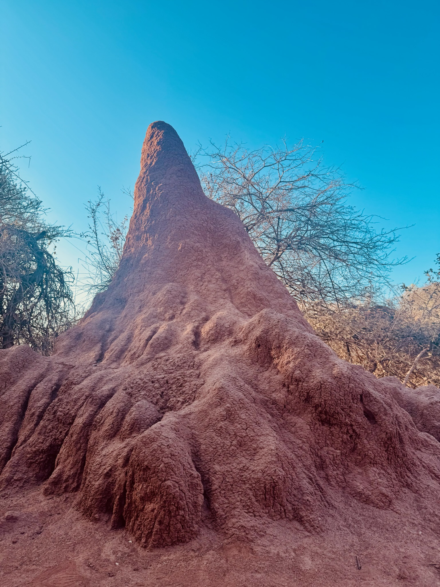 Day at Waterberg 2