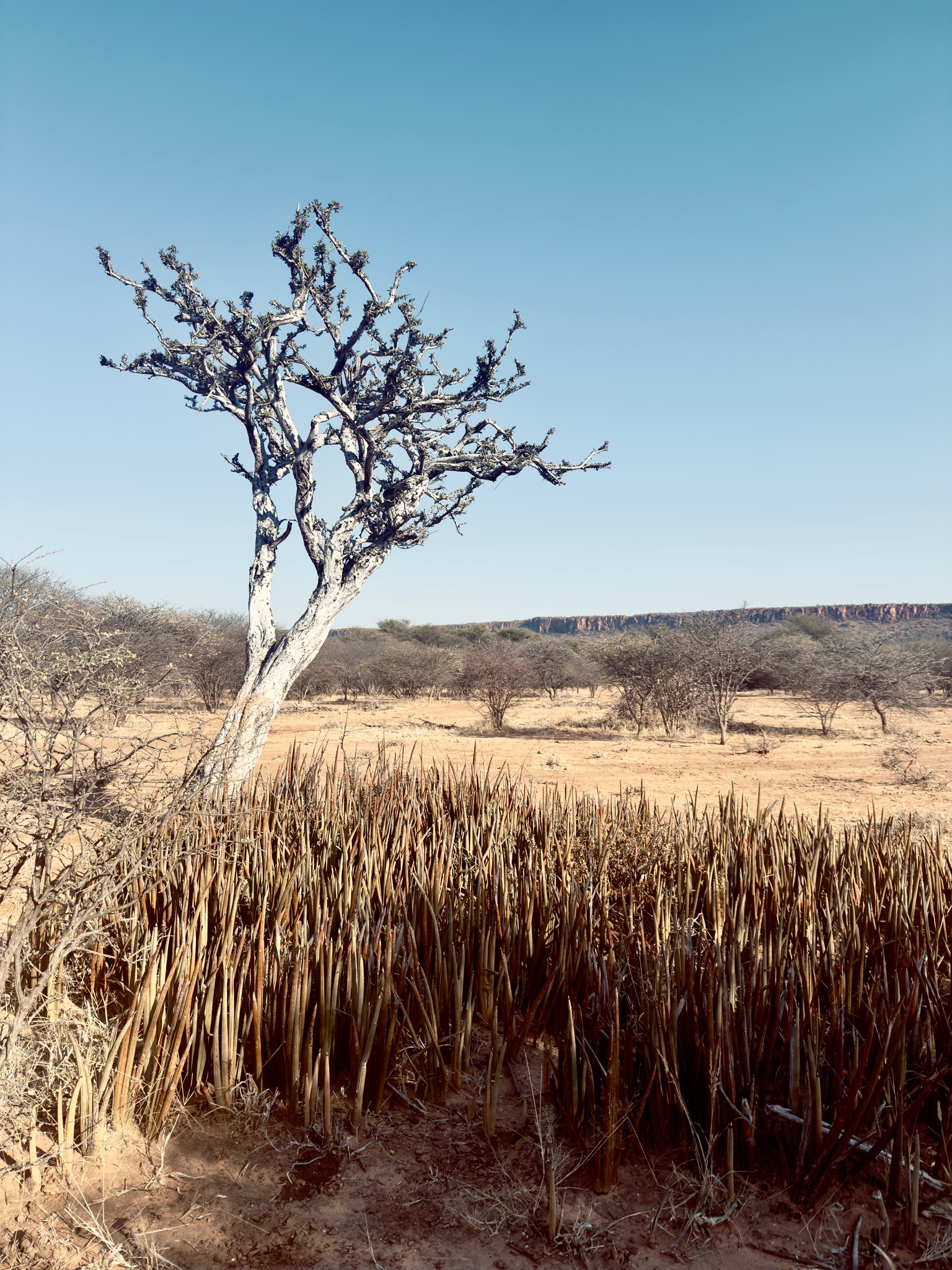 Day at Waterberg 4