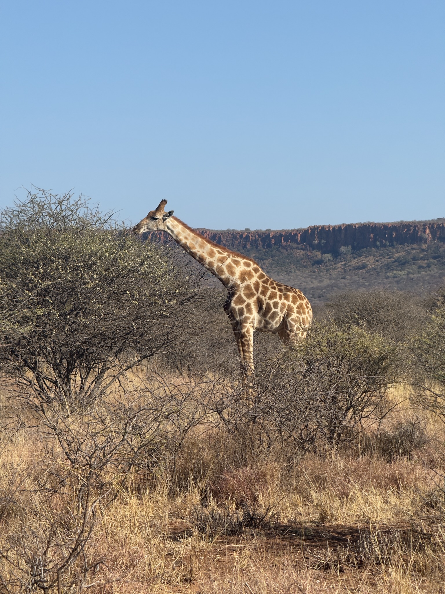 Day at Waterberg 5