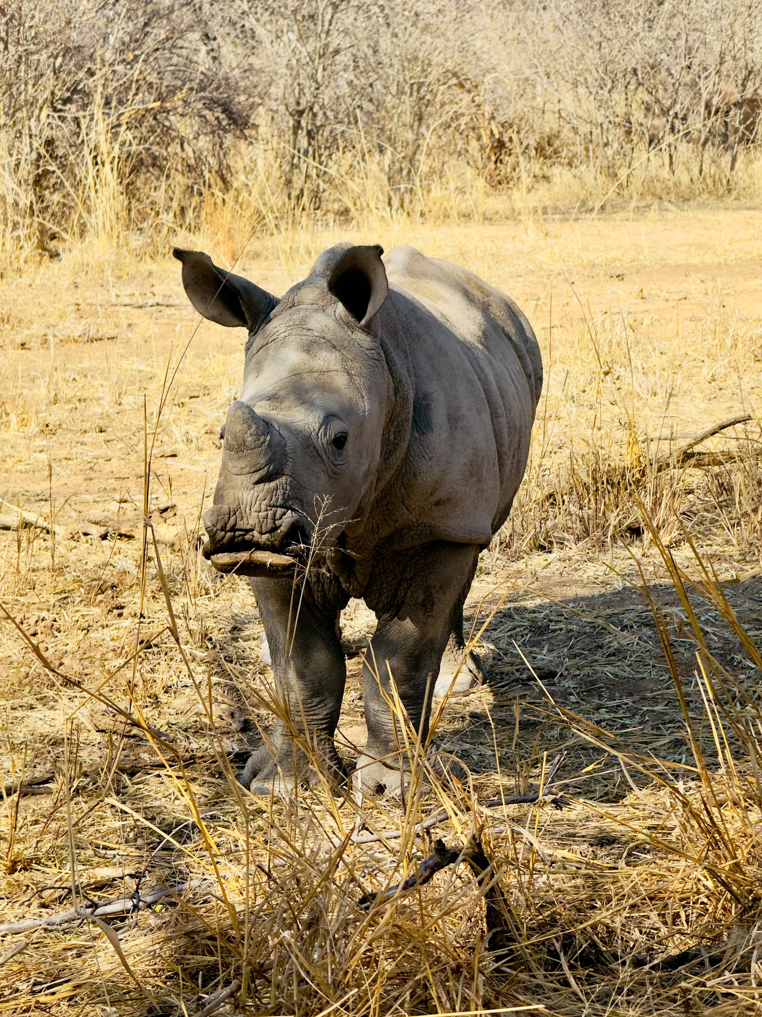 Day at Waterberg 6