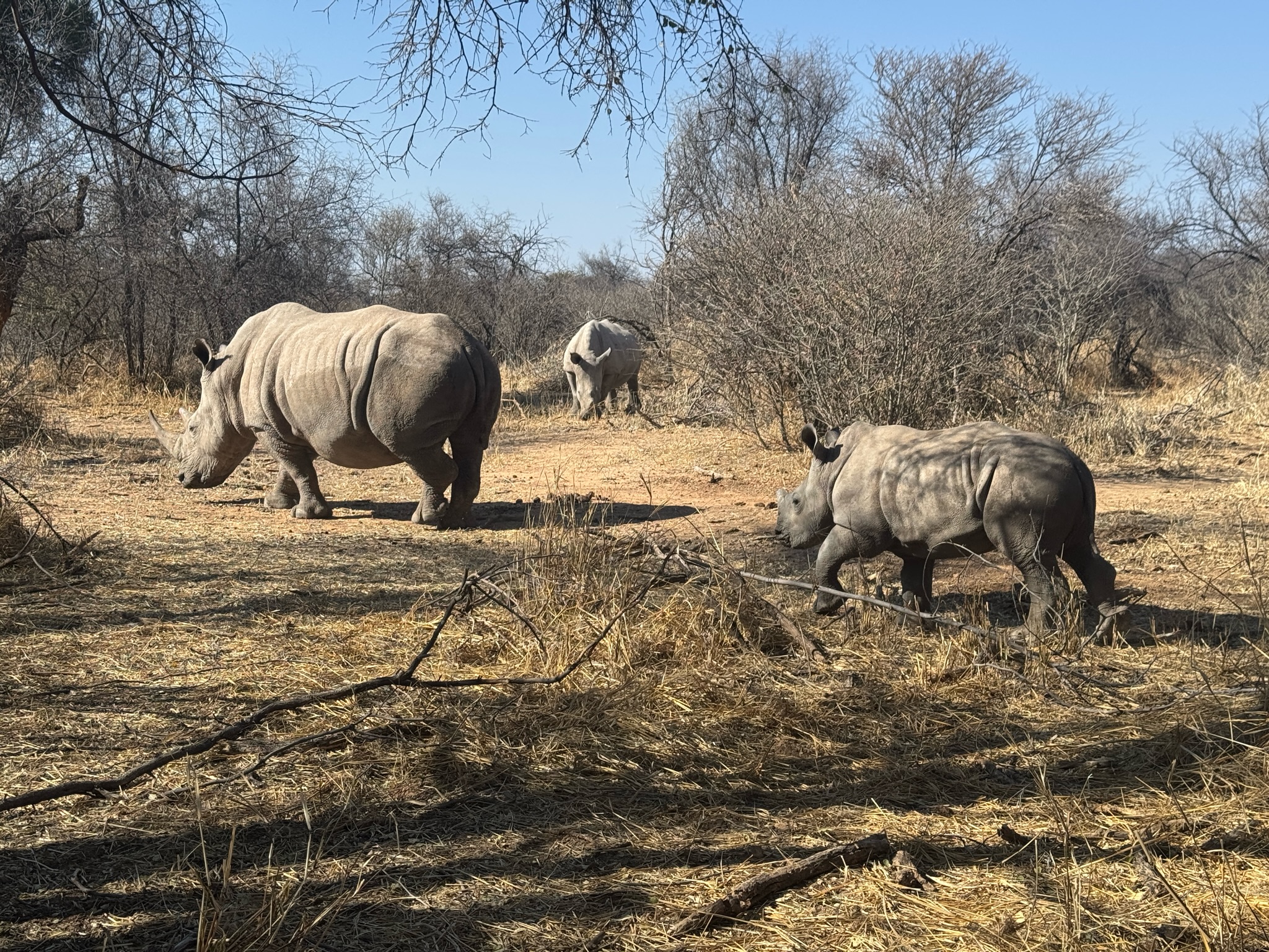 Day at Waterberg 7