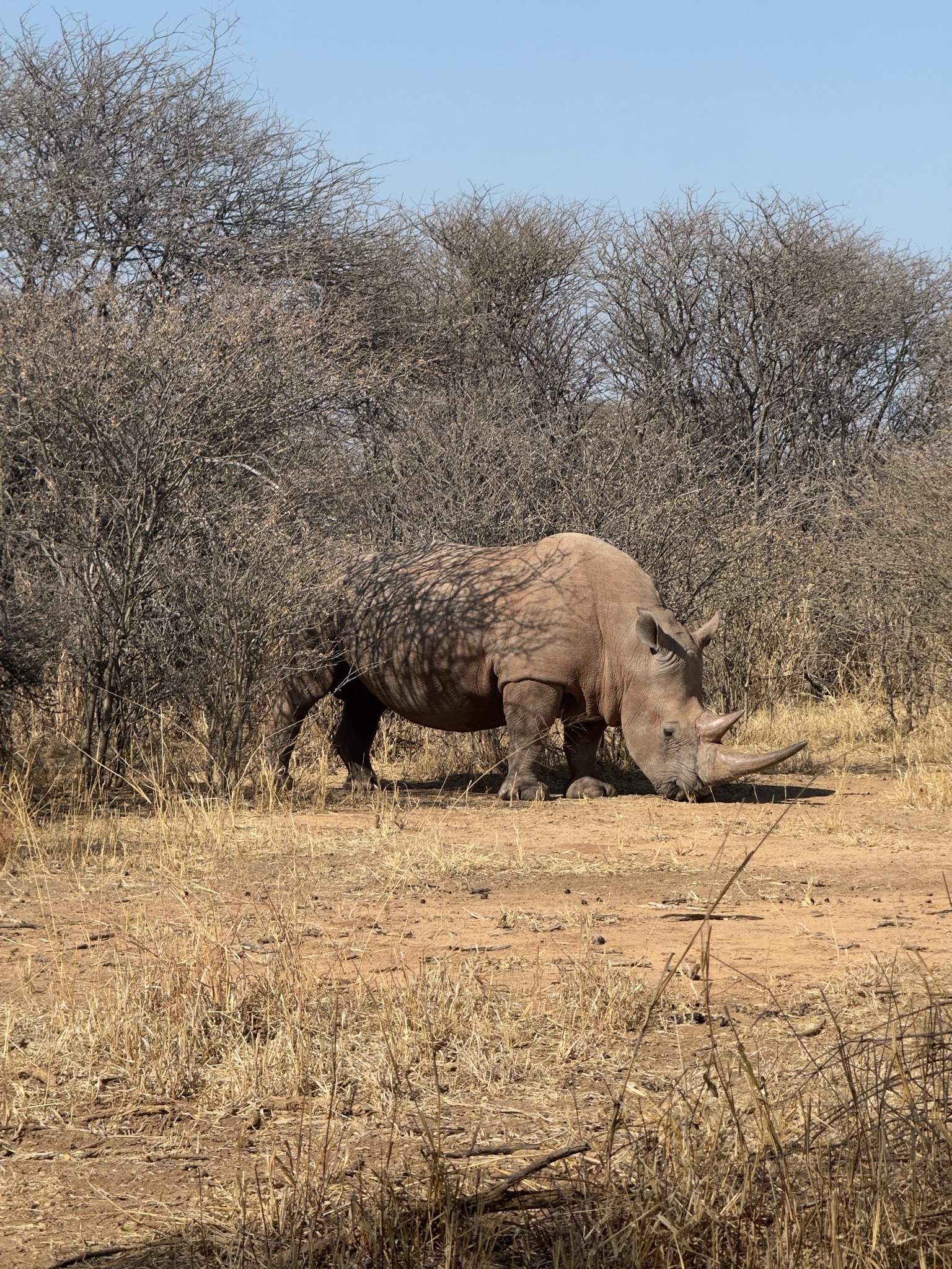 Day at Waterberg 8
