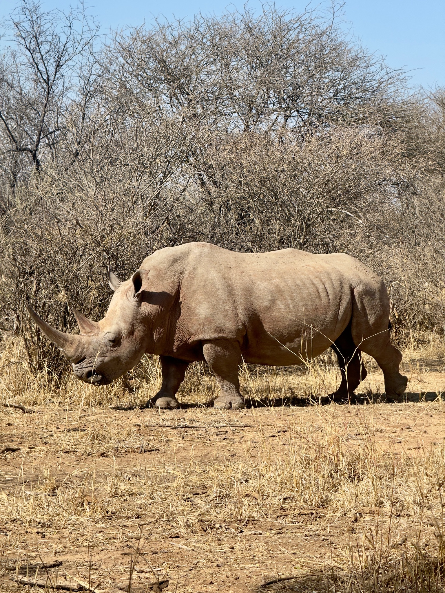Day at Waterberg 9