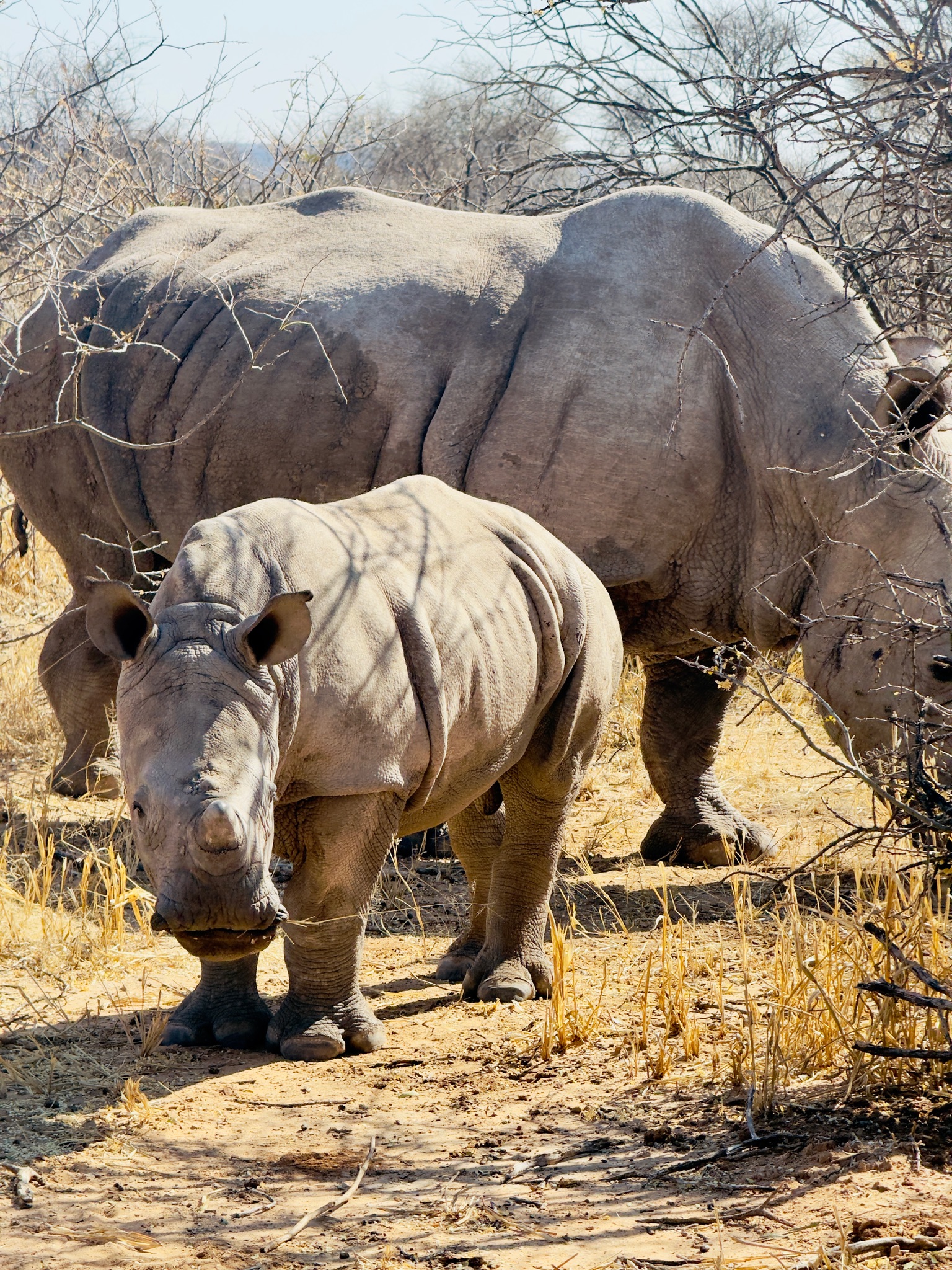 Day at Waterberg 10