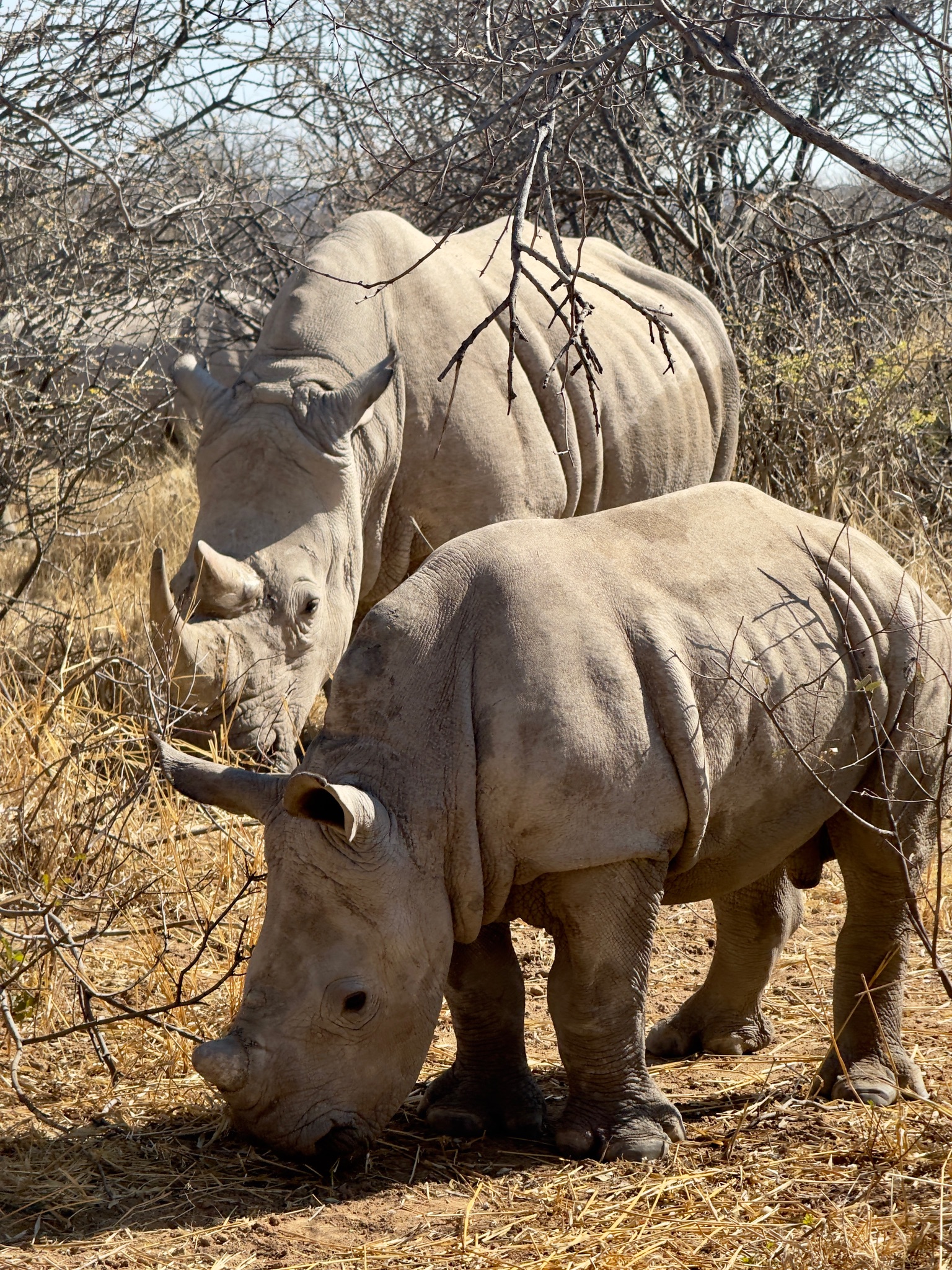 Day at Waterberg