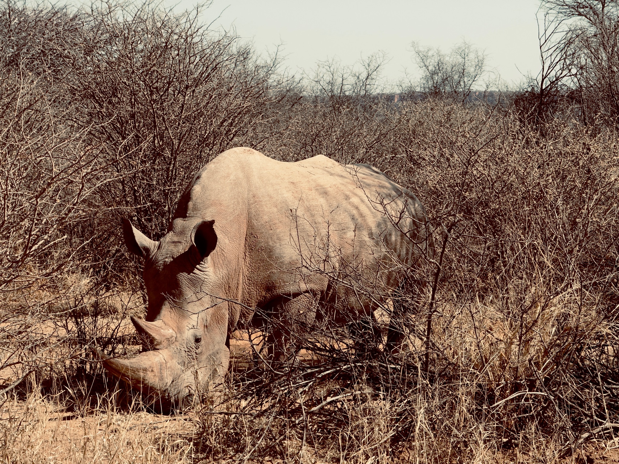 Day at Waterberg 12