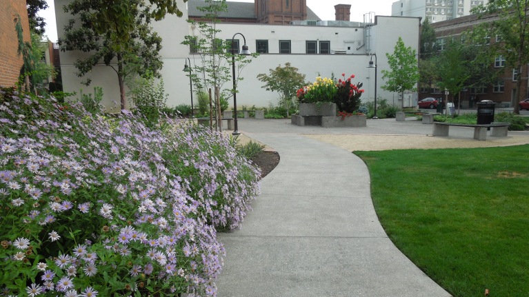 Legacy Good Samaritan Park is the perfect place to take a break and enjoy a beautiful green space with benches and tables. Enjoy your meal and admire the surrounding plants, birds, and fountains.