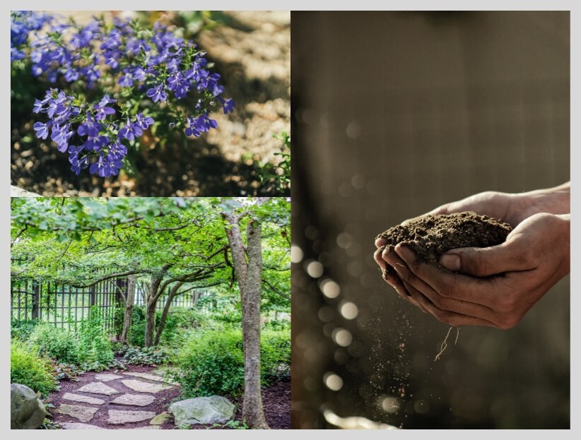 collage of images showing mulch in various places