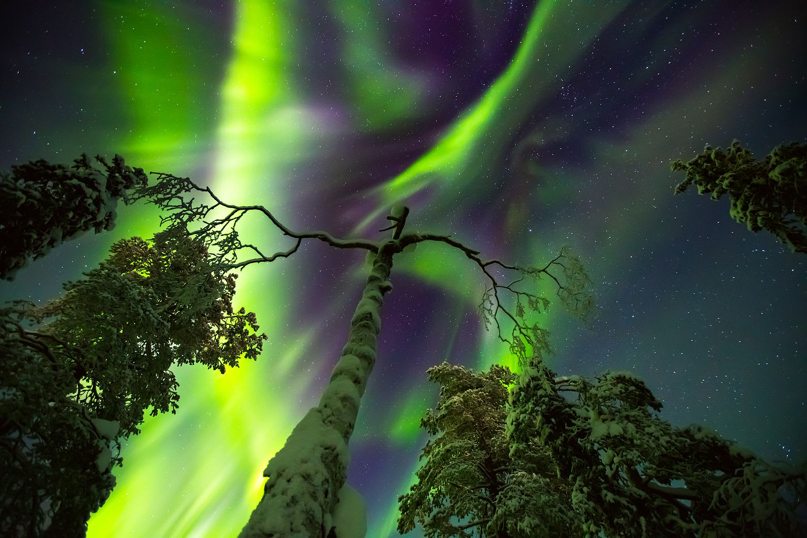 Northern Paradise In Finland
