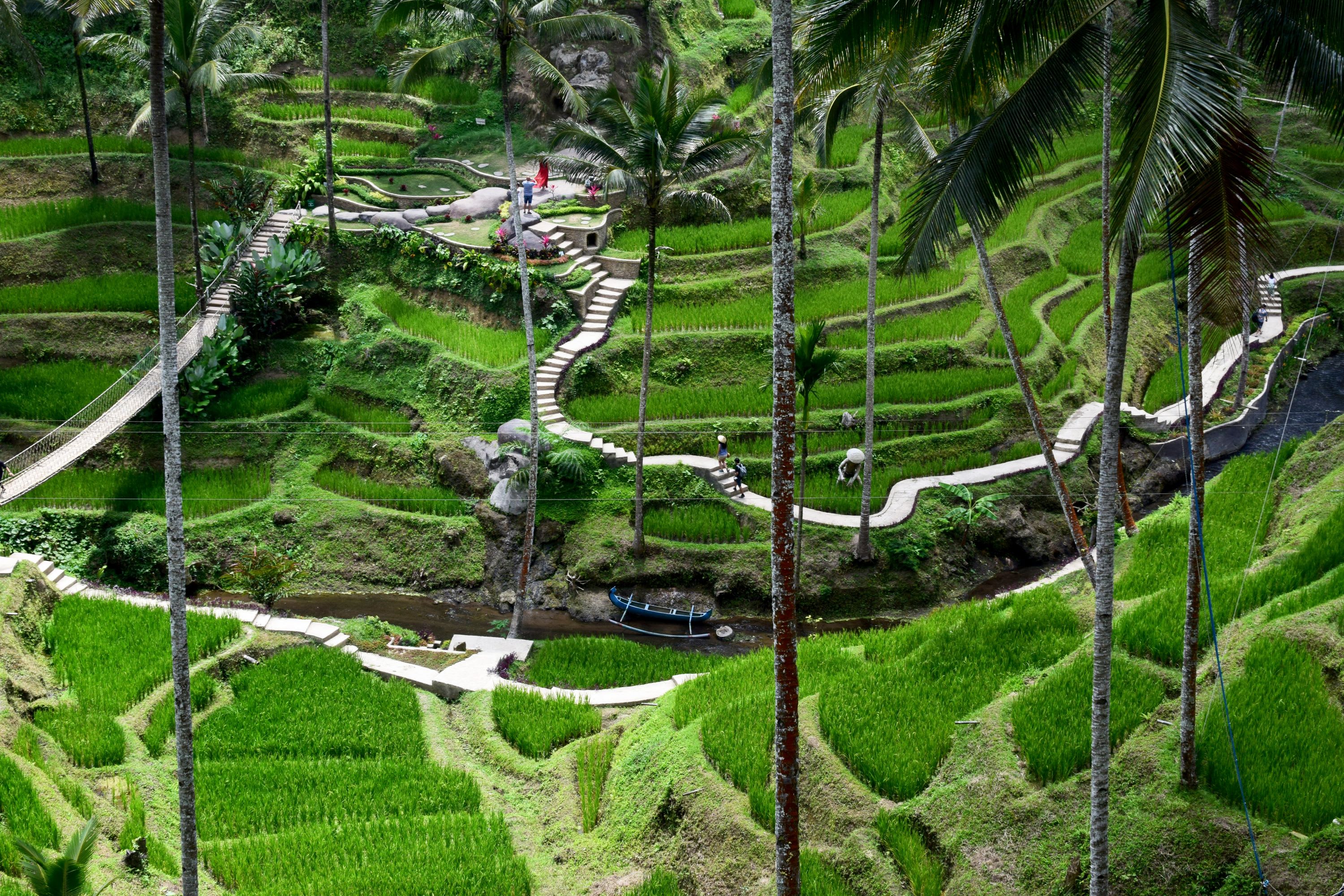 Relaxing in Bali