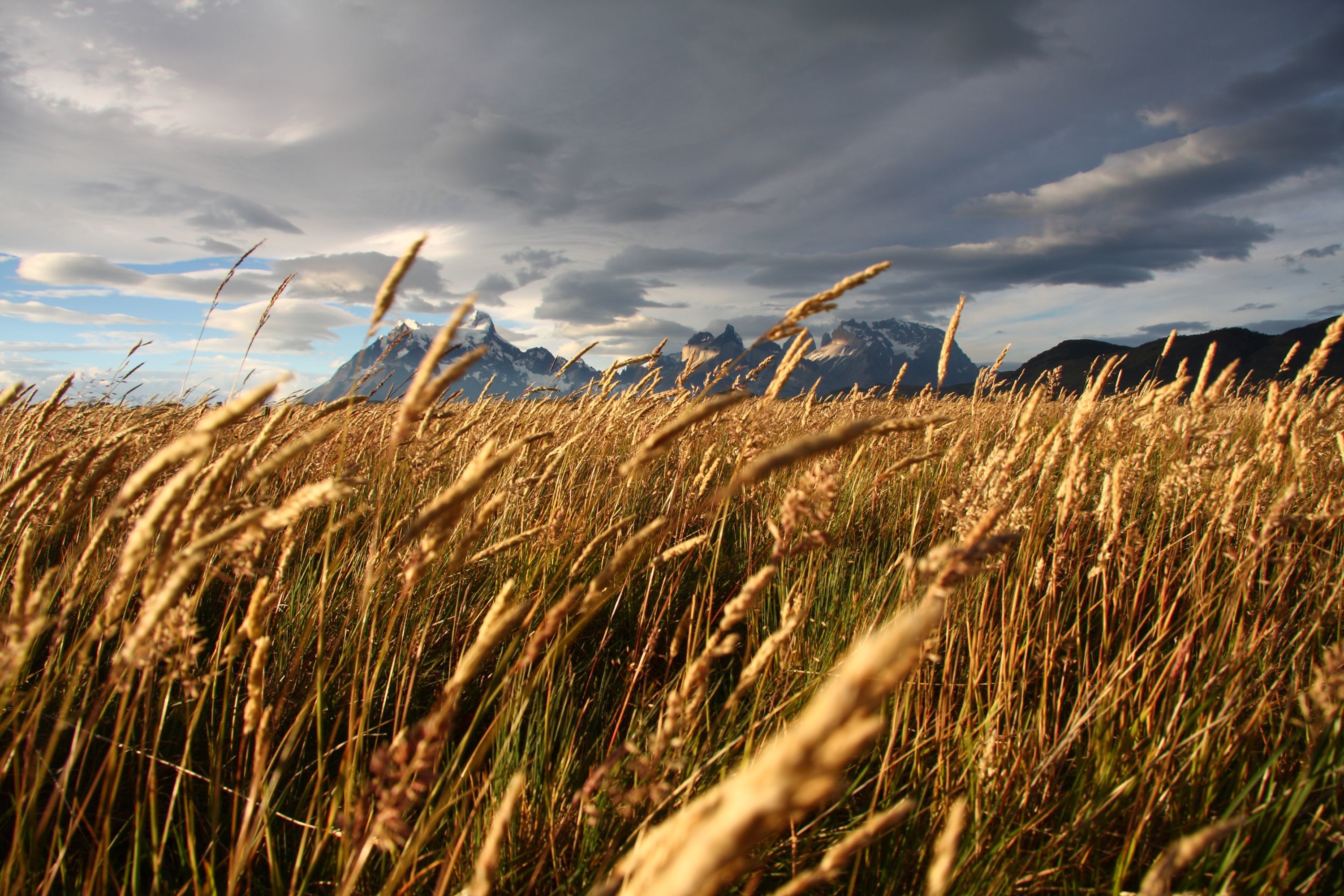 Exploration of Atacama & Torres del Paine