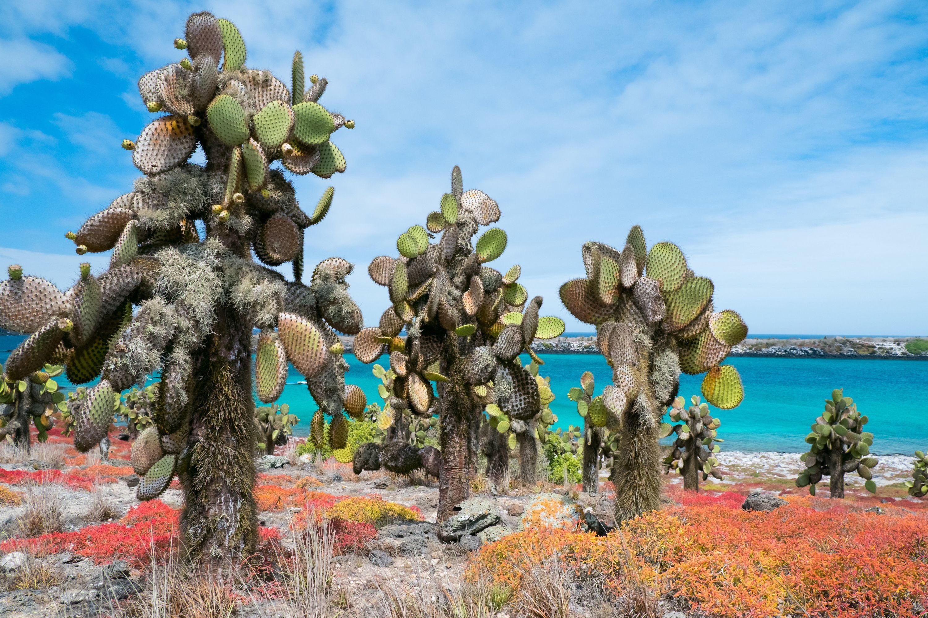 Galapagos Guardians Land Based with Floreana Island