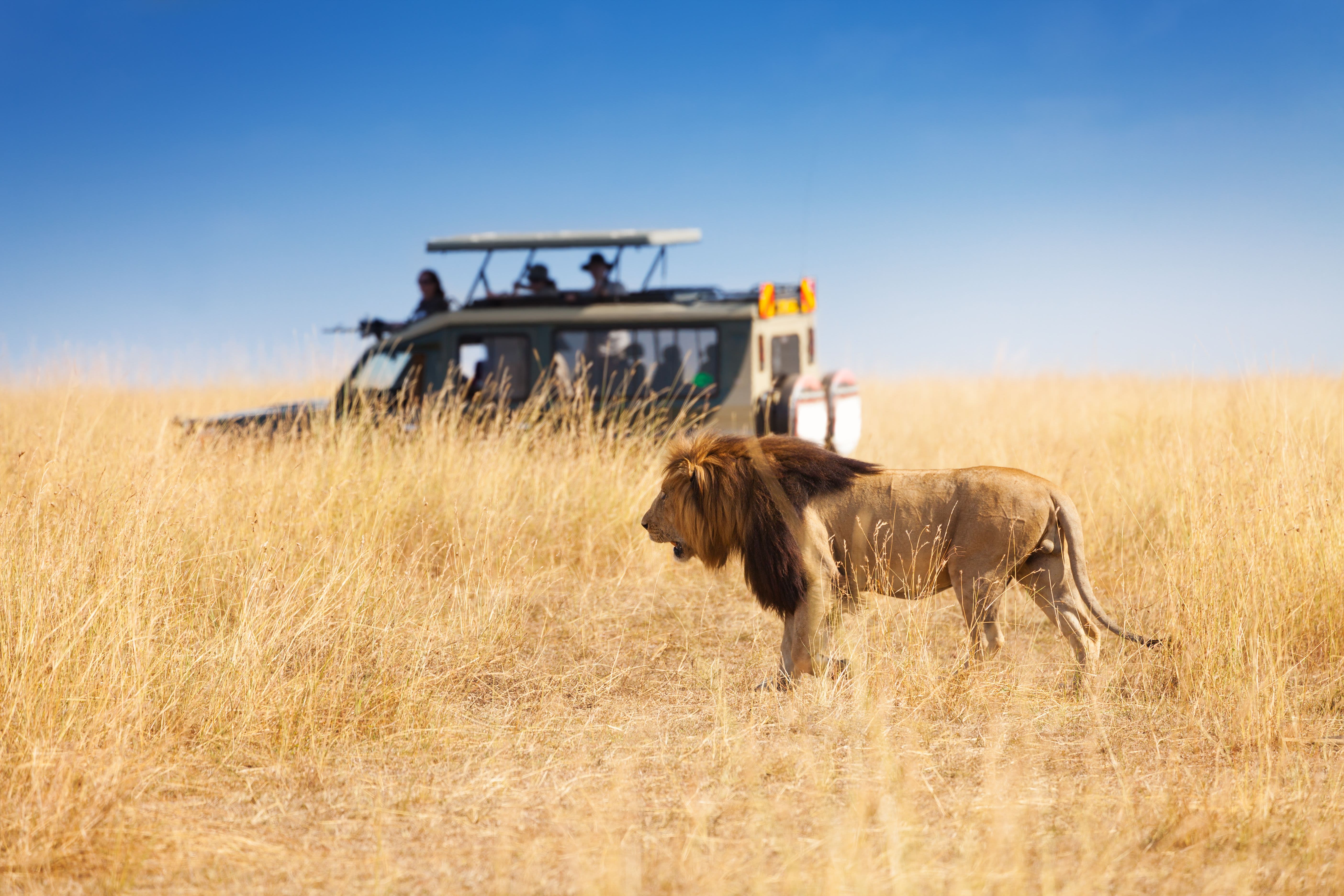 East Africa Trails Group Safari