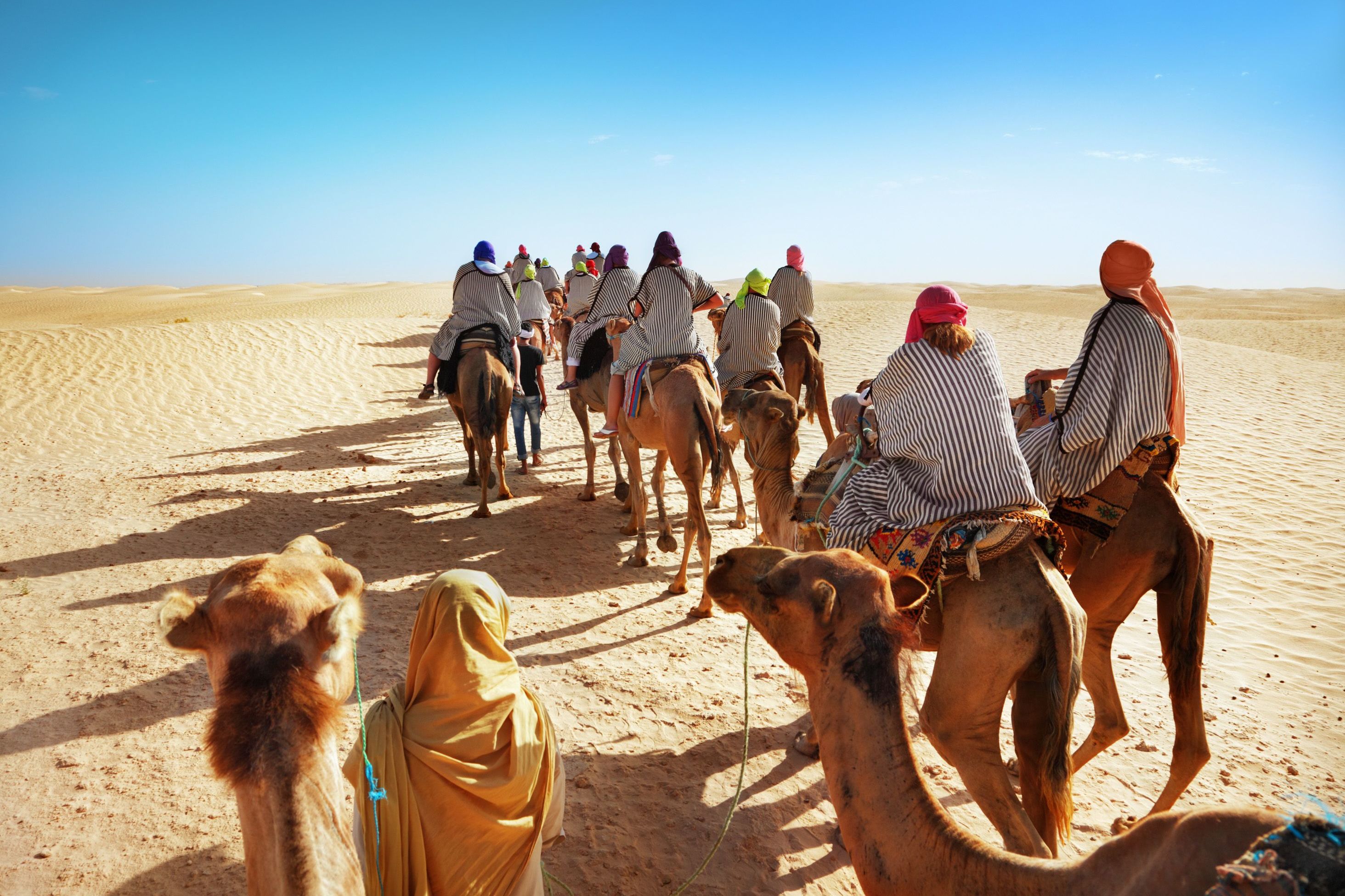 Tourists Riding Camels in Sahara Desert