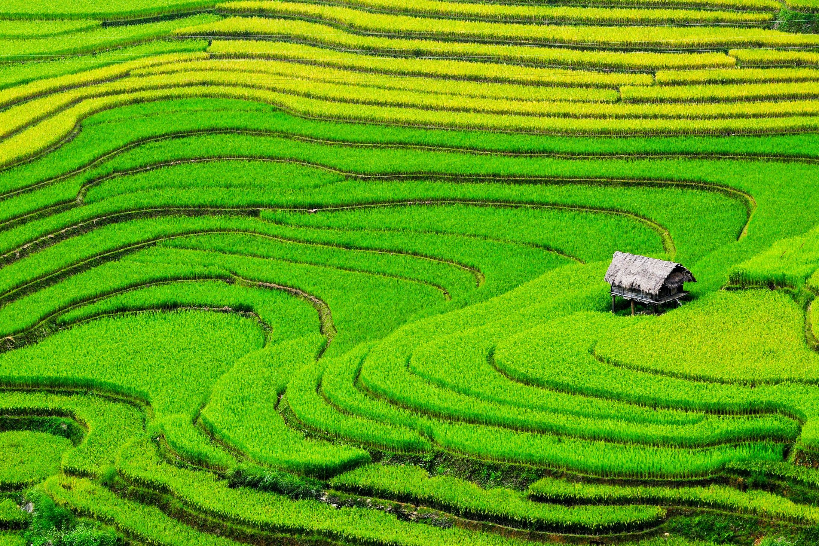 Adventure in Northern Vietnam