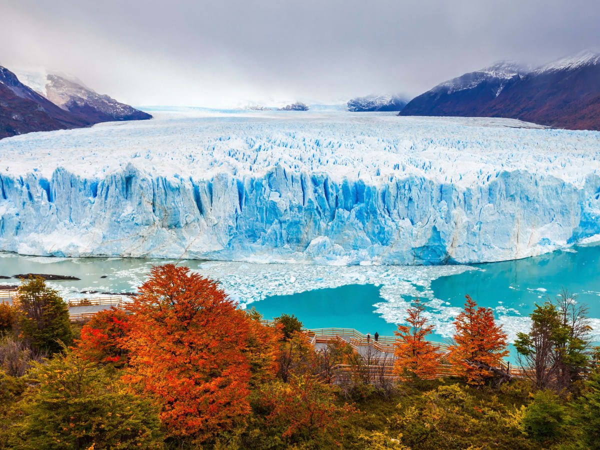 Perito Moreno & Safari Nautico