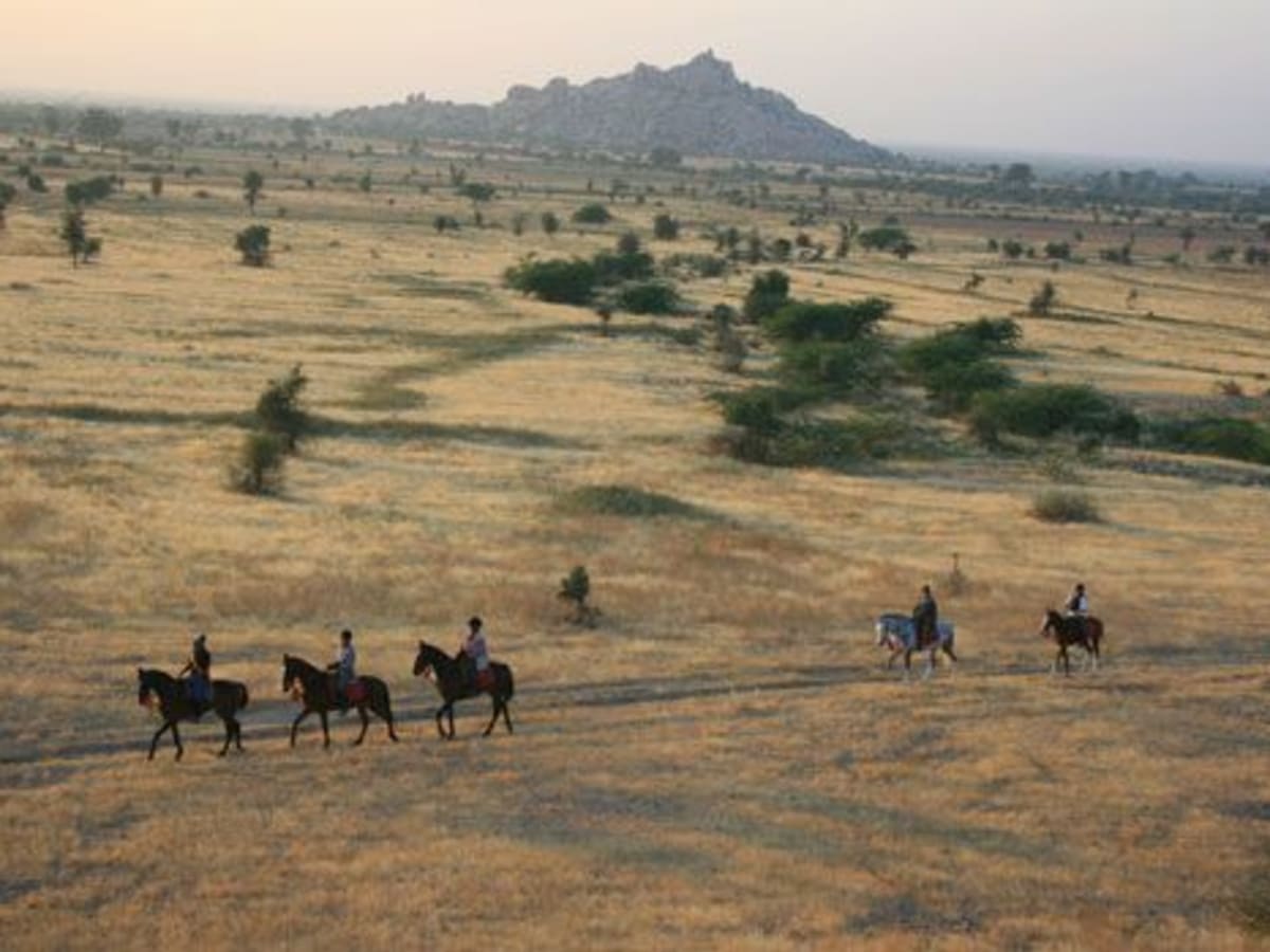 Half Day Horse Riding Safari and Cooking Class Demonstration