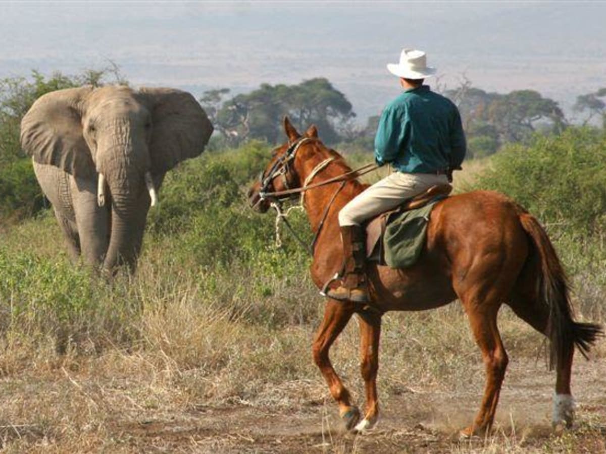 Introducing Laikipia Plateau