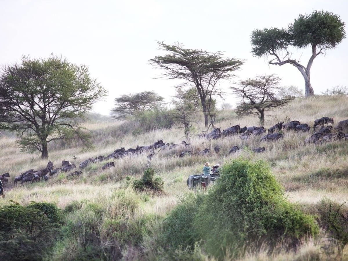 Serians Serengeti Lamai Camp