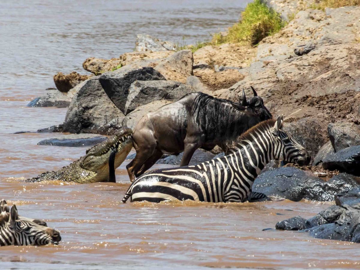 Masai Mara
