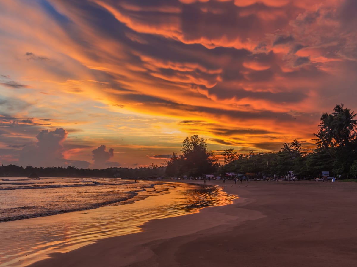 Introducing Weligama
