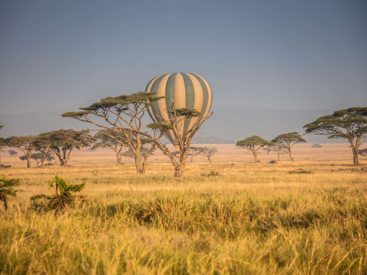 On safari in the Serengeti National Park