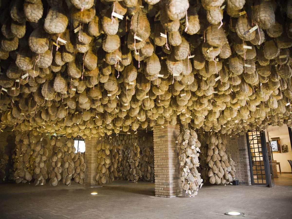 Morning Gastronomy Tour including a Cheesemaking Factory. Afternoon Visit to Motor Valley