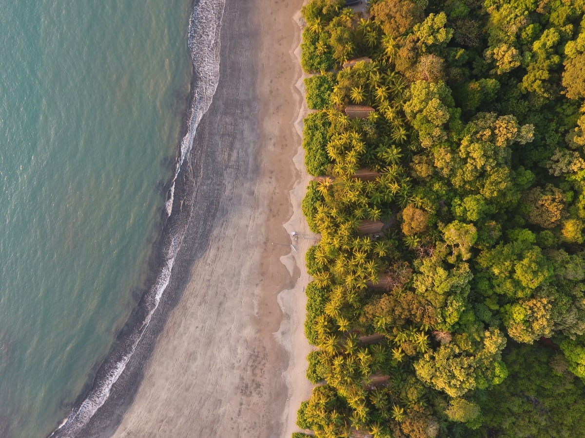Isla Palenque
