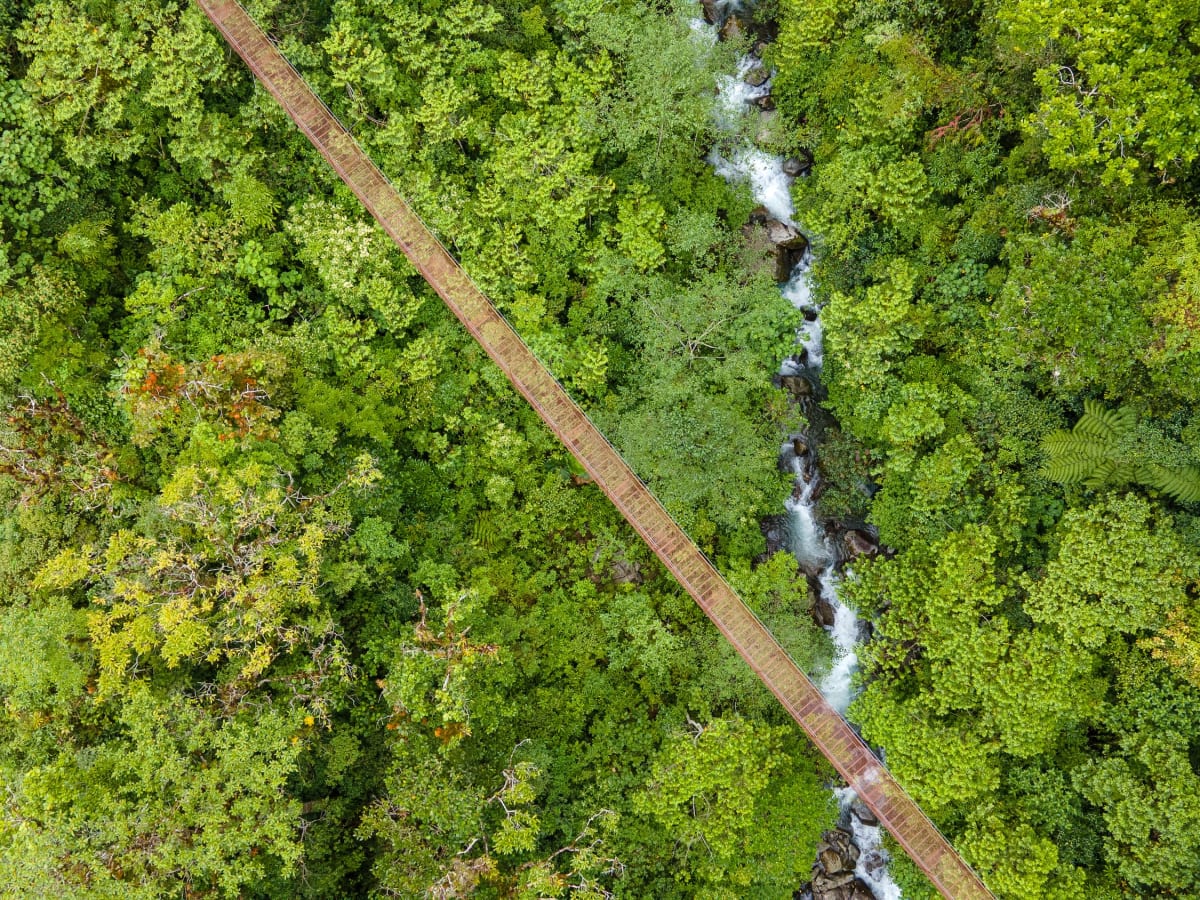 Isla Palenque