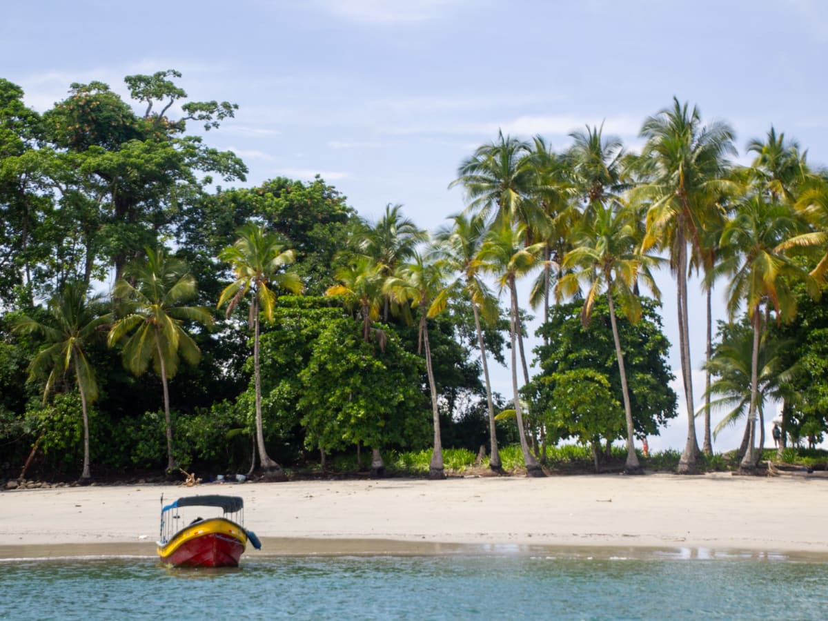 Explore Isla Palenque