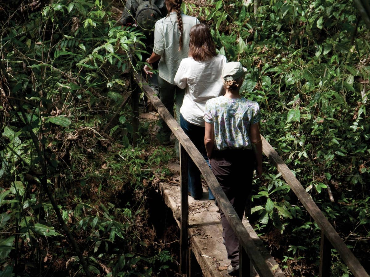 Discover the Hidden Wonders of the Amazon