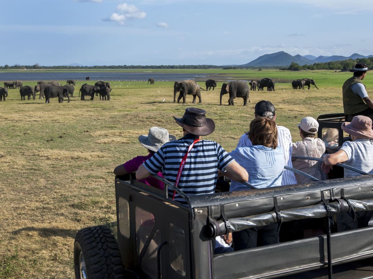 Minneriya National Park 