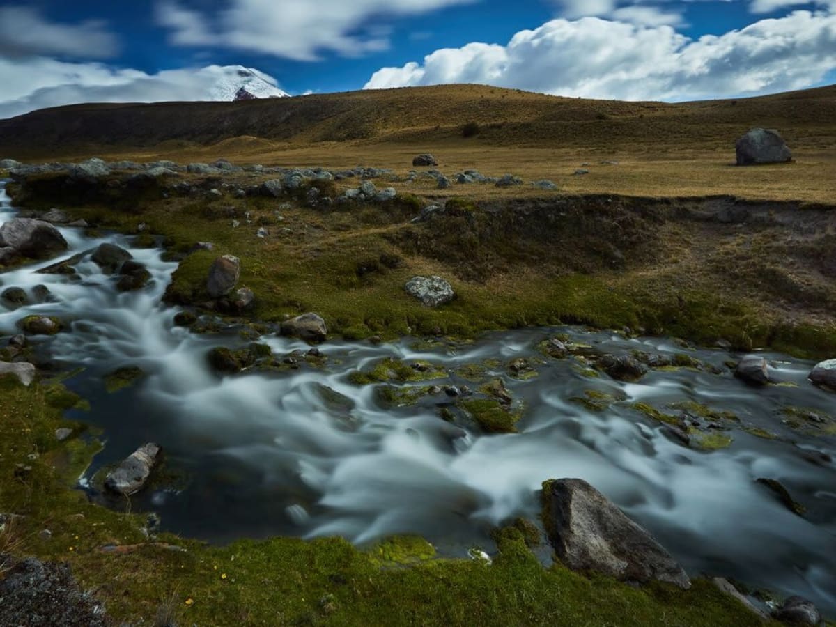 Introducing Cotopaxi National Park