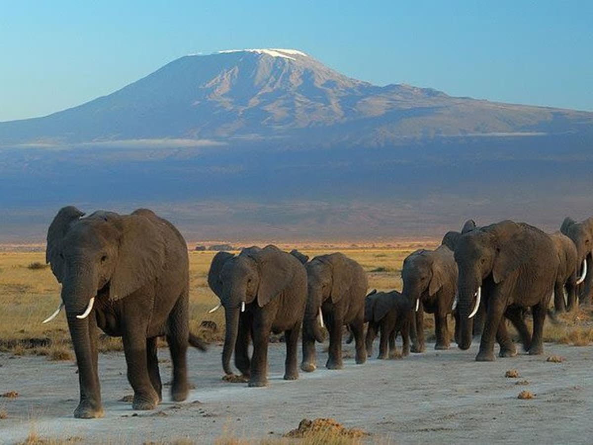 Amboseli National Park