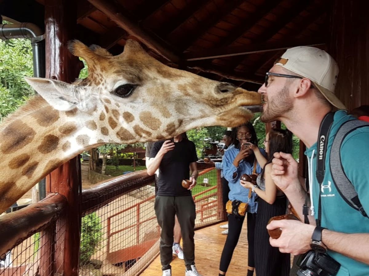 Giraffe Centre