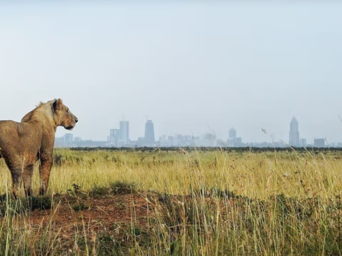 Nairobi