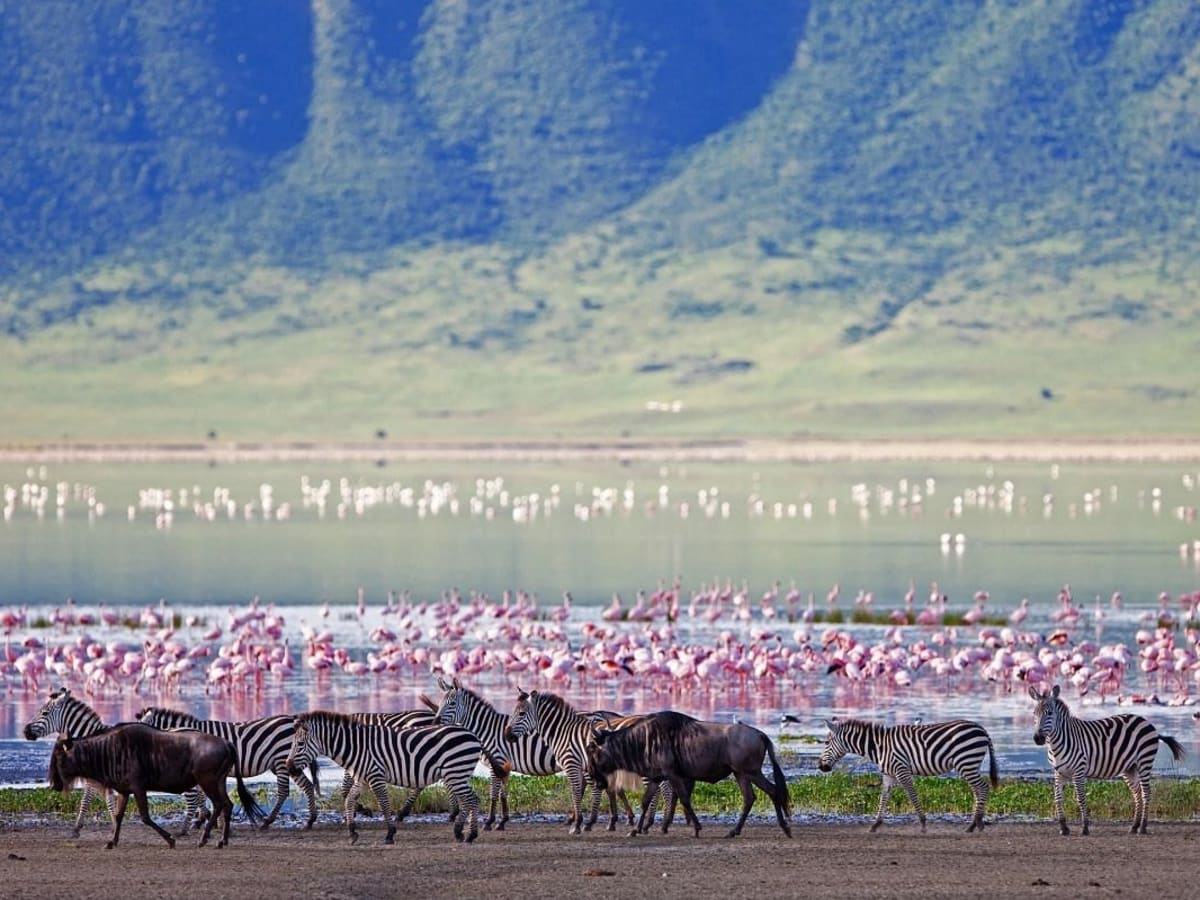 Game drives in Ngorongoro Crater