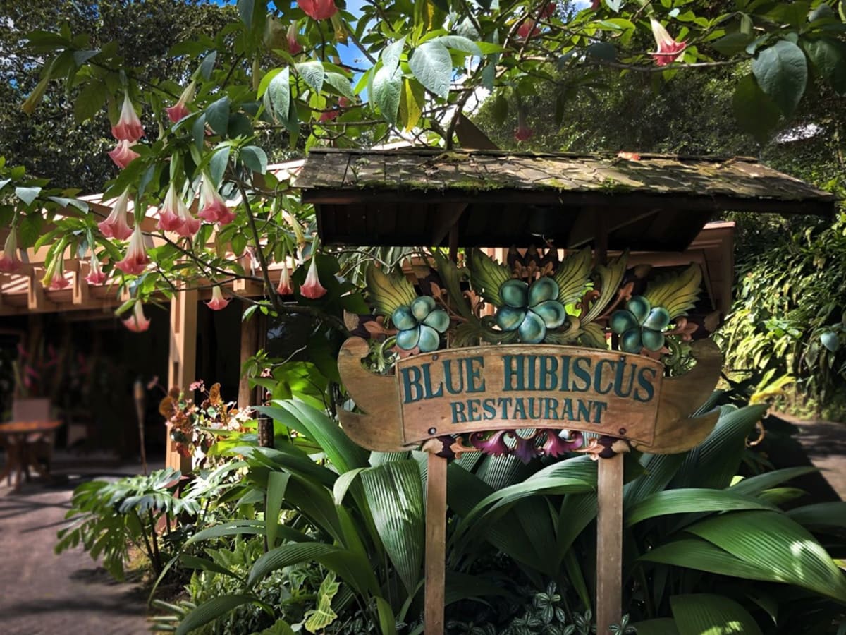 The Lost Iguana Resort & Spa