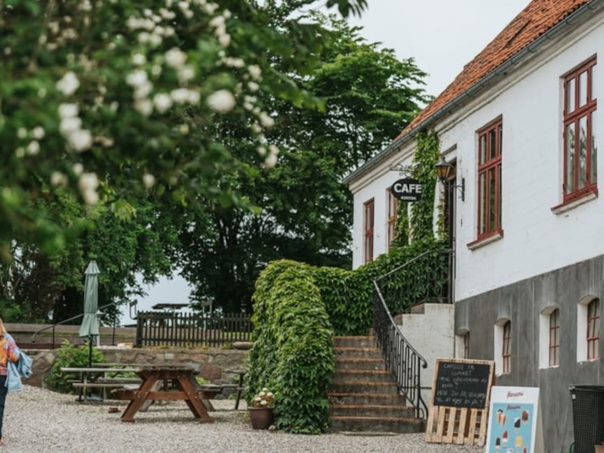 Egeskov Castle and ferry to Aero Island