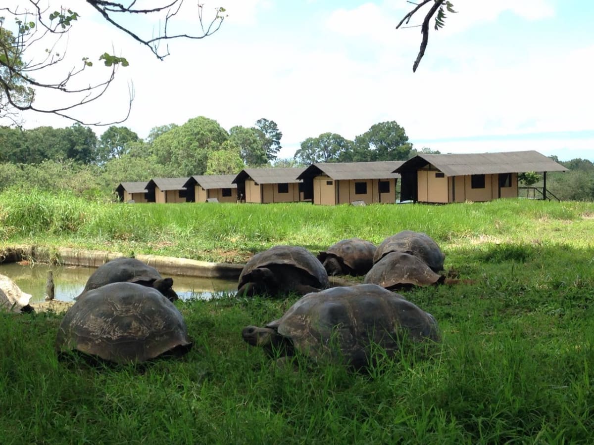 Giant Tortoise Reserve - Santa Cruz Highlands