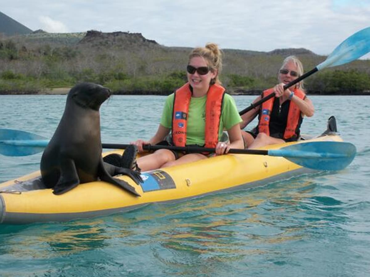 Fly to Baltra and Kayak across the Itabaca Channel. Visit a Giant Tortoise Reserve in the Highlands