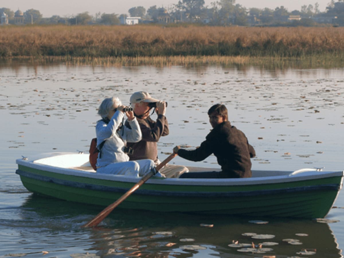 Morning Birdwatching and Afternoon Exploration of the Local Villages