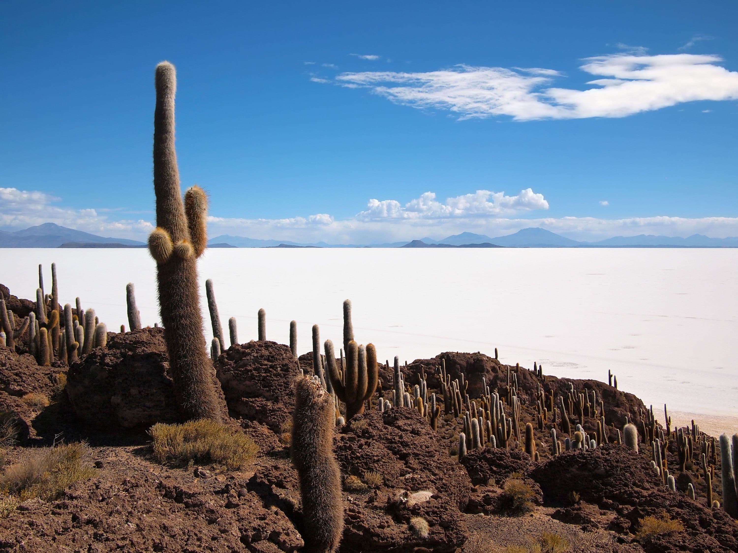 Altiplano