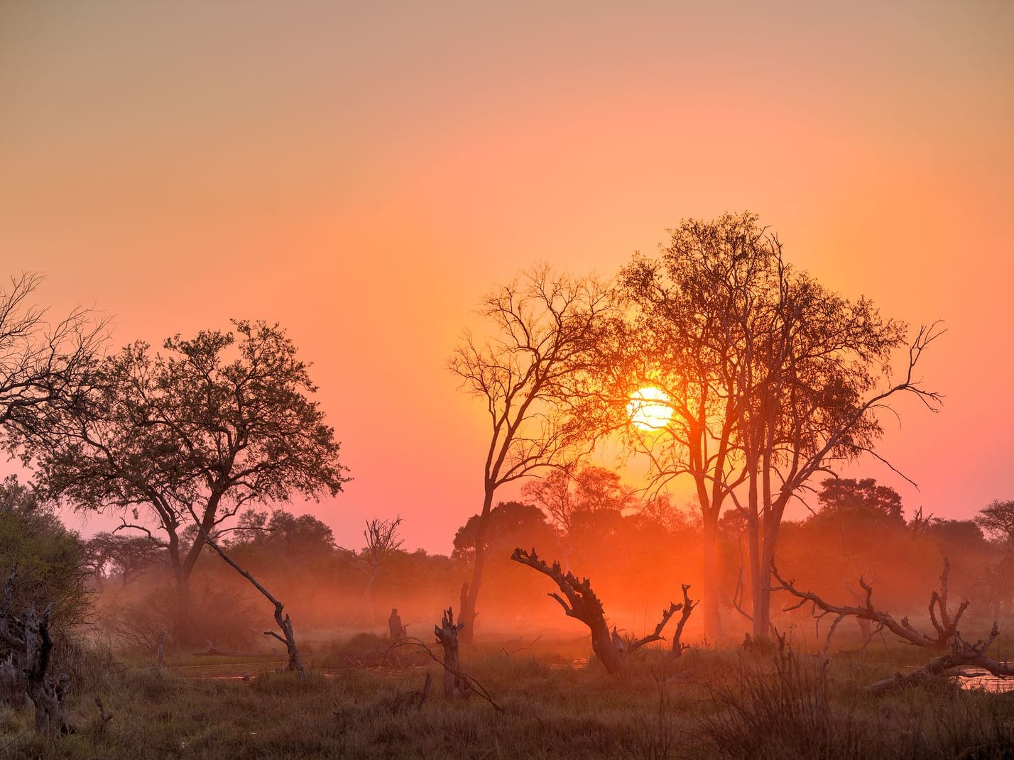 Maun Departure