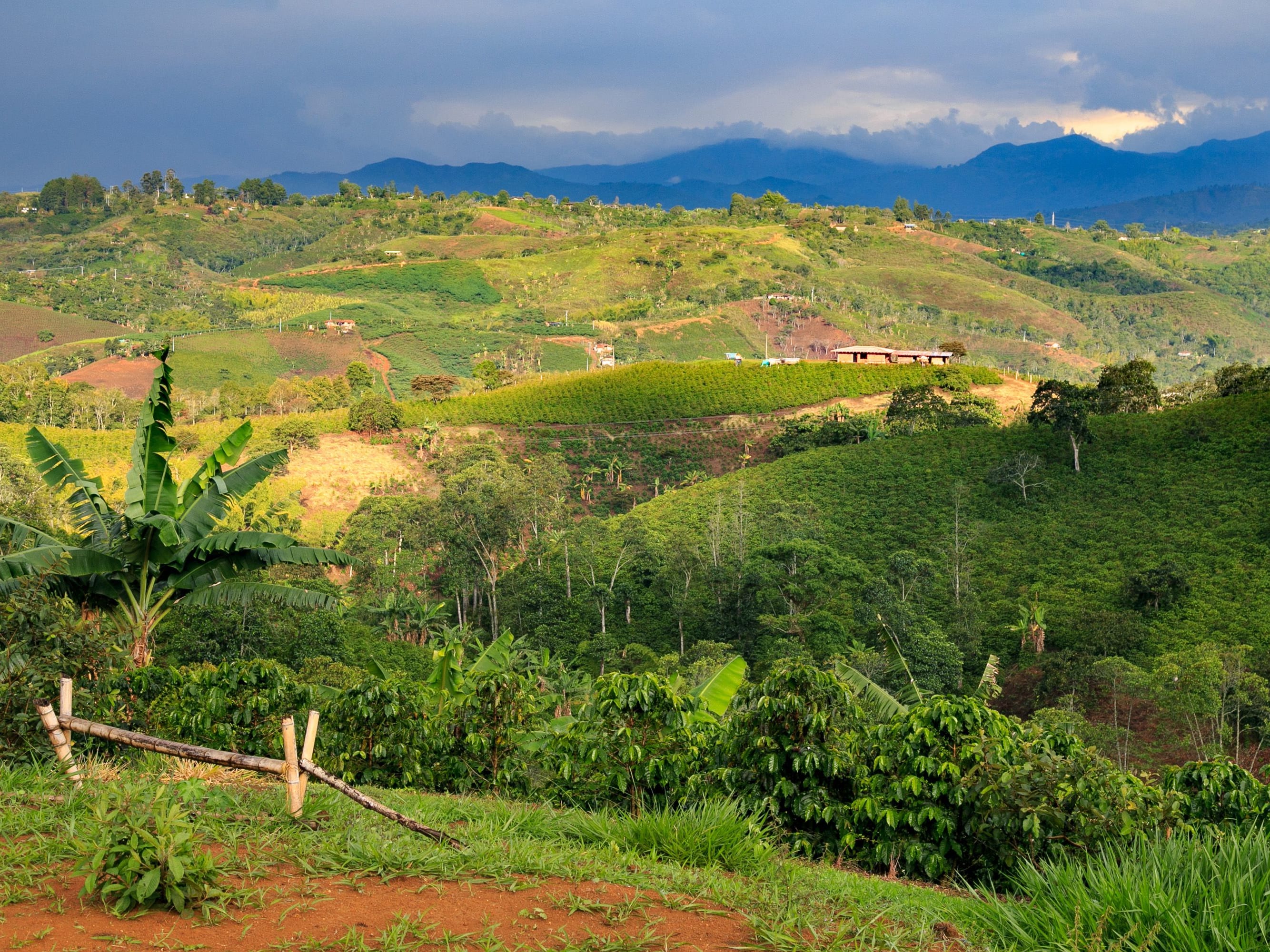 Quindio