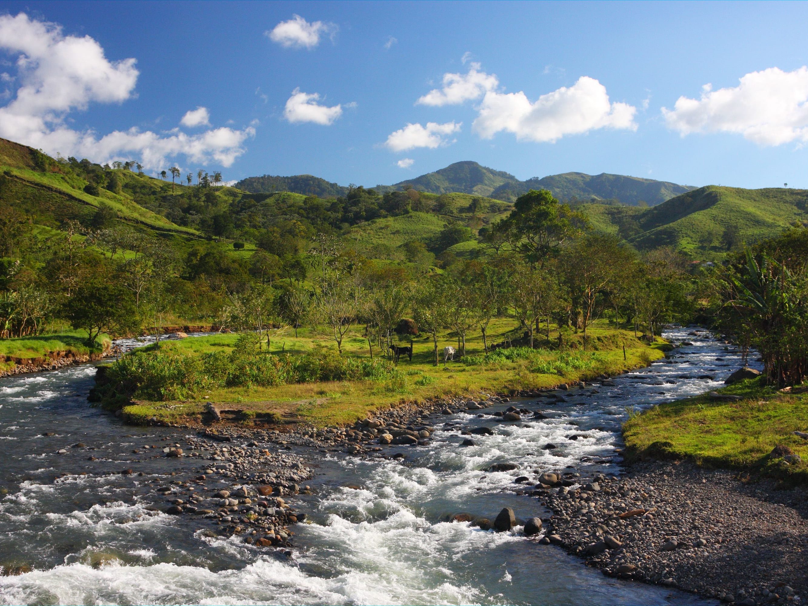 San Jose - Monteverde