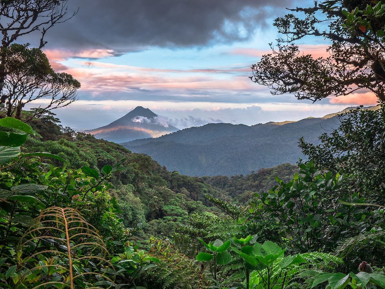 Arenal