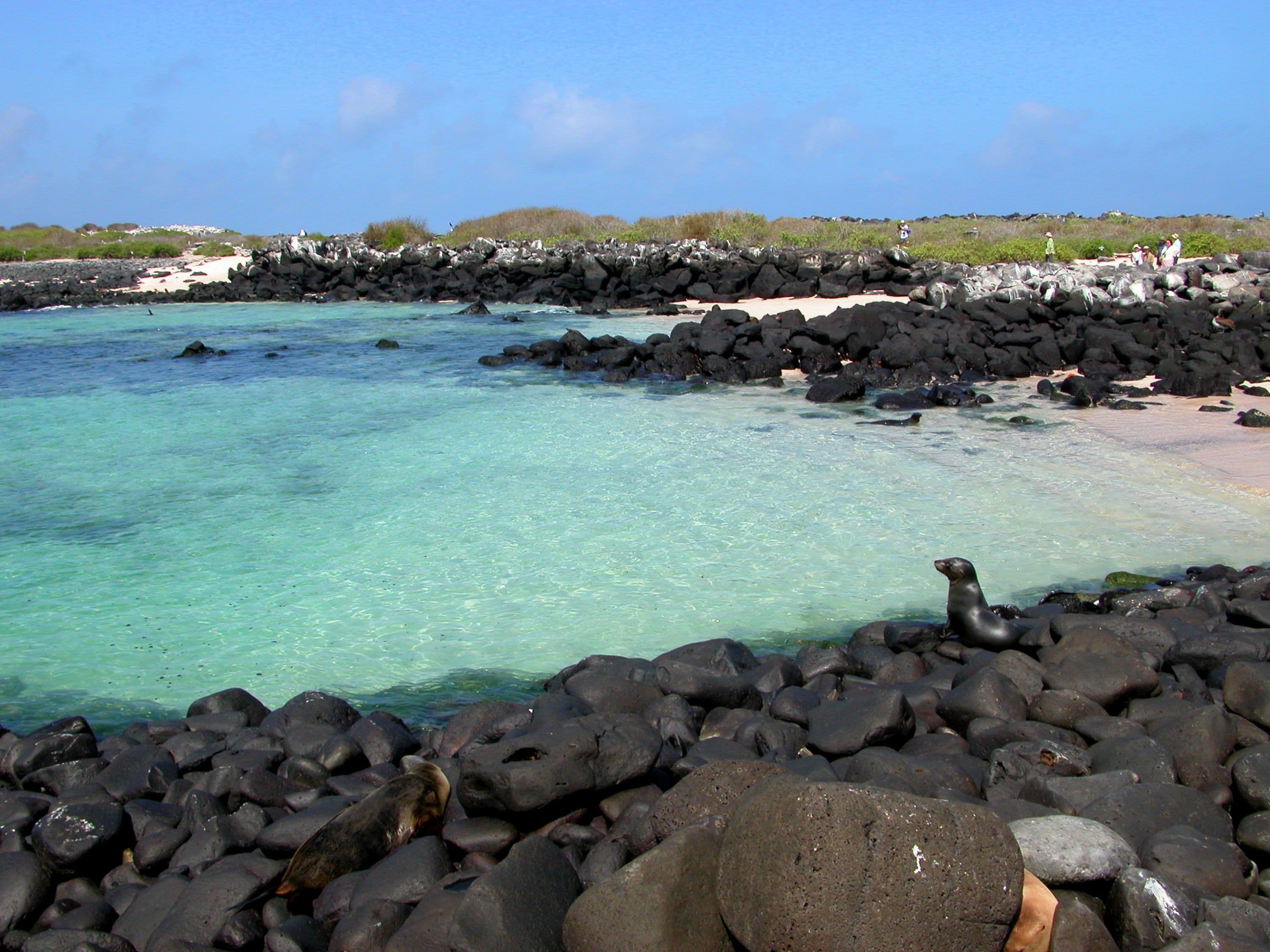 Santa Cruz Island Departure