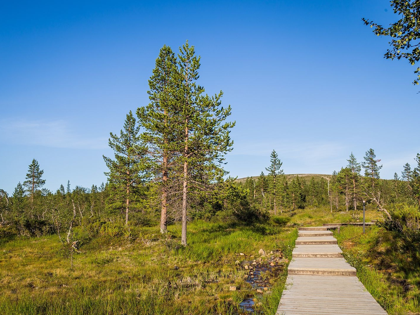Saariselkä