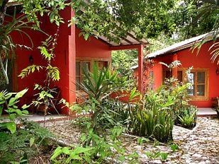 Jungle Lodge